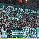 Bohemians Praha 1905 - FC Baník Ostrava 0:2 (0:0)