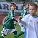 Bohemians Praha 1905 - FC Baník Ostrava 0:2 (0:0)