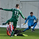 Bohemians Praha 1905 - FK Viktoria Žižkov 2:0 (2:0)