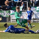 Bohemians Praha 1905 - FK Mladá Boleslav