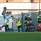 Bohemians Praha 1905 - FK Mladá Boleslav 2:0 (1:0)