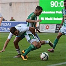 Bohemians Praha 1905 - FK Mladá Boleslav 2:0 (1:0)