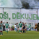 Bohemians Praha 1905 - FK Mladá Boleslav 2:0 (1:0)