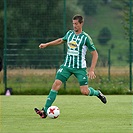 Hallescher - Bohemians 2:2 (0:1)