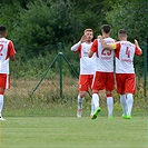 Hallescher - Bohemians 2:2 (0:1)