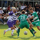 Ujpest - Bohemians 0:1 (0:1)