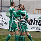 Bohemians - Karviná 2:0 (1:0)