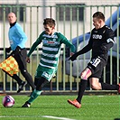 Jablonec - Bohemians 1:0 (1:0)