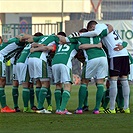 Bohemians Praha 1905 - FC Viktoria Plzeň 0:1 (0:1)