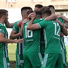 Bohemians - Karviná 4:0 (2:0)