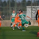 Lubin - Bohemians 1:1 (1:1)