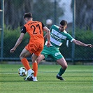 Lubin - Bohemians 1:1 (1:1)