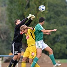 Bohemians 1905 - SK Dynamo Ceské Budějovice 2:3 (1:1)