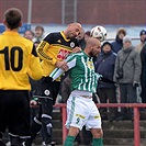 Tipsport liga: Bohemians Praha 1905 - SK Dynamo České Budějovice 2:2 (1:1)