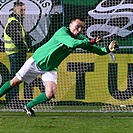 Bohemians Praha 1905 - FC Viktoria Plzeň 2:2 (1:1)