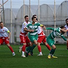 Radnički Niš - Bohemians 1:2 (1:1)