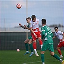 Radnički Niš - Bohemians 1:2 (1:1)