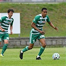 Mladá Boleslav - Bohemians 1:1 (1:1)