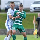 Mladá Boleslav - Bohemians 1:1 (1:1)