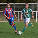 Bohemians Praha 1905 - FC Viktoria Plzeň 1:1 (1:1)