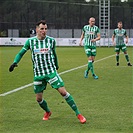 PFC Levski Sofia - Bohemians Praha 1905 1:1 (1:0)