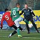 Bohemians 1905 - Viktoria Žižkov 2:2 (2:1)