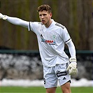 Bohemians - Ústí nad Labem 2:2 (1:1)