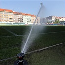 Bohemians Praha 1905 - FC Vysočina JIhlava 1:1 (0:0)