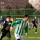 Bohemians 1905 - Příbram 1:0