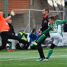 Bohemians Praha 1905 - FC Hradec Králové 2:1 (1:0)