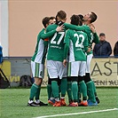 Bohemians Praha 1905 - FC Hradec Králové 2:1 (1:0)