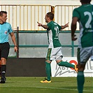 Bohemians Praha 1905 - FK Pardubice 2:1 (0:1)