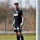 Plzeň - Bohemians 1:1 (1:1)