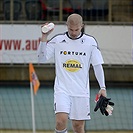 České Budějovice - Bohemians 1905 3:1 (2:0)