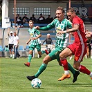 Bohemians  Praha 1905 - AS Trenčín 5:1 (2:0)