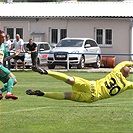 Bohemians  Praha 1905 - AS Trenčín 5:1 (2:0)