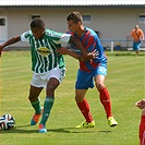 Bohemians Praha 1905 - FC Viktoria Plzeň 0:1 (0:0)