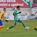 Bohemians - Opava 0:0