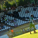 FC Hradec Králové - Bohemians Praha 1905 1:0 (0:0)