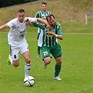 Bohemians Praha 1905 - FK Mladá Boleslav 2:4 (1:2)