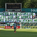 Bohemians - Slovácko 2:1 (0:1)