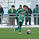 FK Mladá Boleslav - Bohemians Praha 1905 2:0 (2:0)