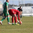 Wolfsberger - Bohemians 1:1 (1:0)