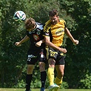 FC Hradec Králové - Bohemians Praha 1905 1:2 (1:0)