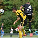 FC Hradec Králové - Bohemians Praha 1905 1:2 (1:0)