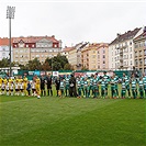 Bohemians - Hradec Králové 2:1 (1:0)