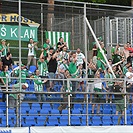 FC Fastav Zlín - Bohemians Praha 1905 1:1 (1:0)