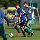 FC Olympia Hradec Králové - Bohemians Praha 1905 1:2 (0:1) 