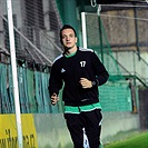 Bohemians se připravují na utkání se Žižkovem