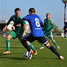 SK Rapid Vídeň - Bohemians Praha 1905 2:2 (2:1)